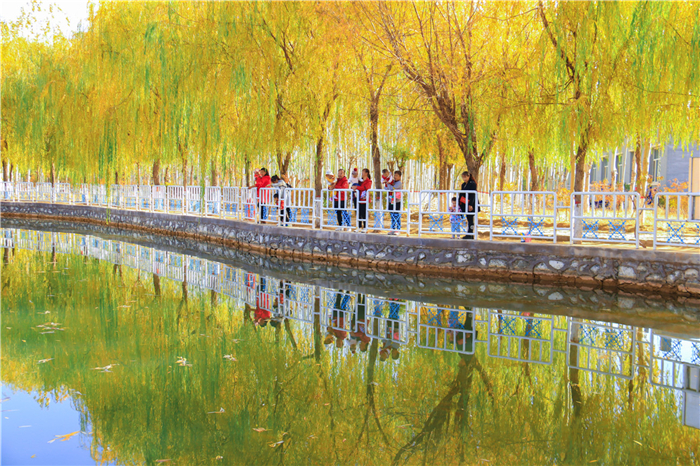 攝影作品：《在聯(lián)邦，遇見(jiàn)最美的秋天》.jpg